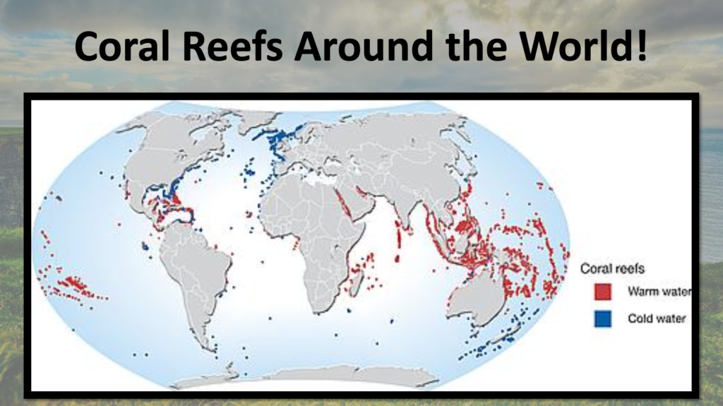 Marine Processes geography